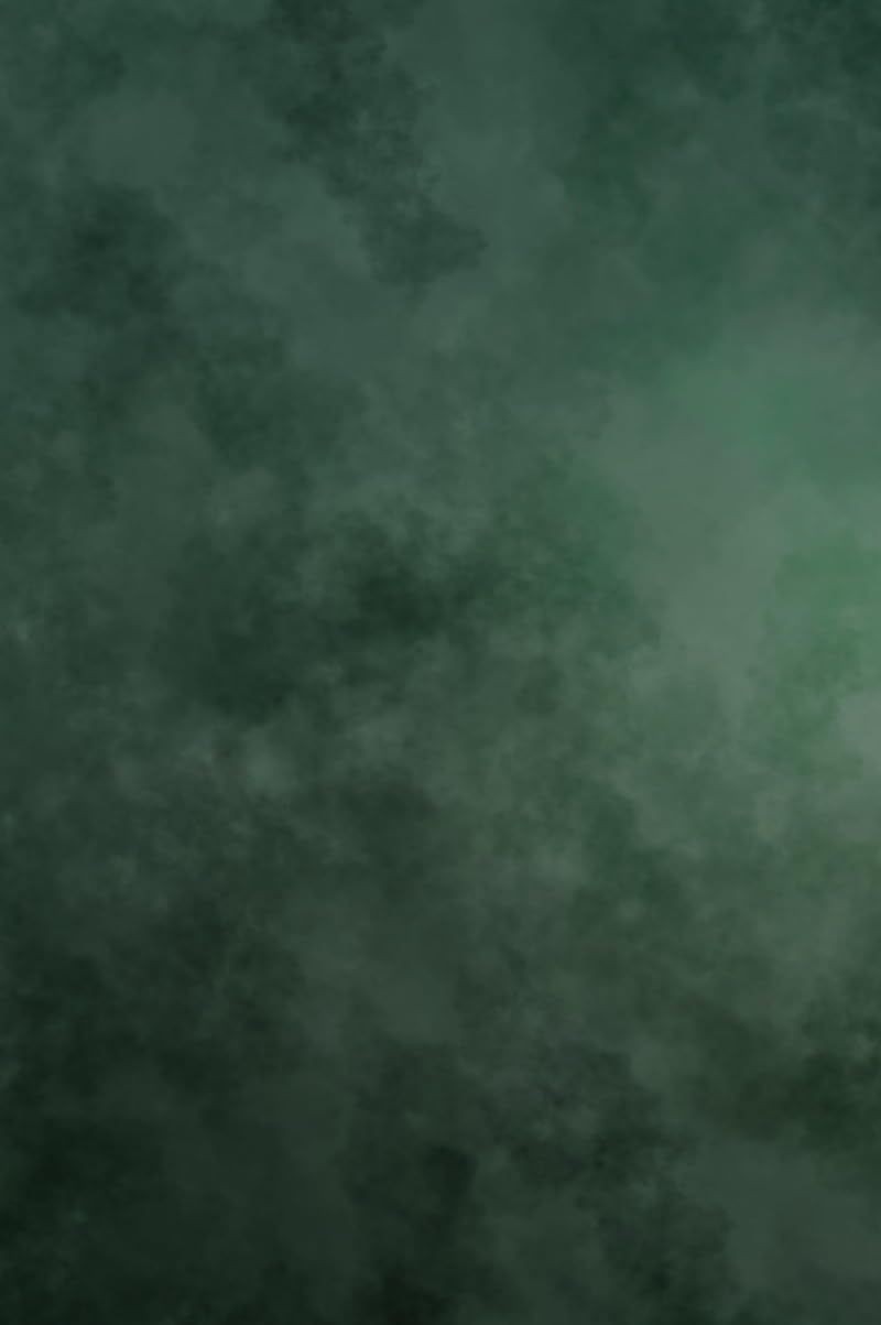 Kate 6.5Ã—10ft Green Backdrop Abstract Muslin Dark Green Background Gradient Portrait Backdrop for Photographer Headshot Microfiber Photo Studio Props - Image 2